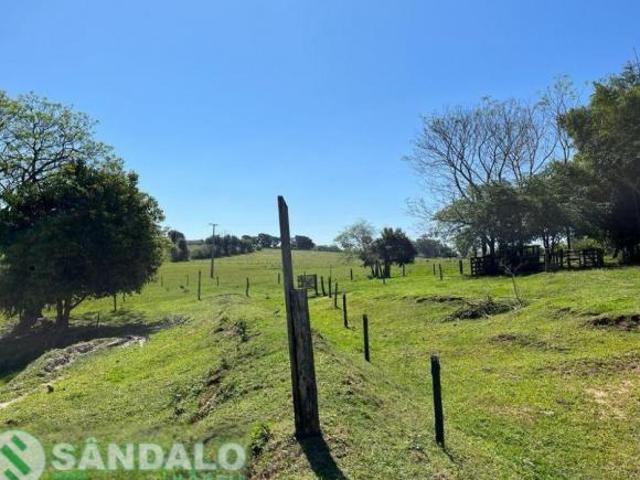 VENDA | Sítio, em RURAL, CRUZEIRO DO OESTE