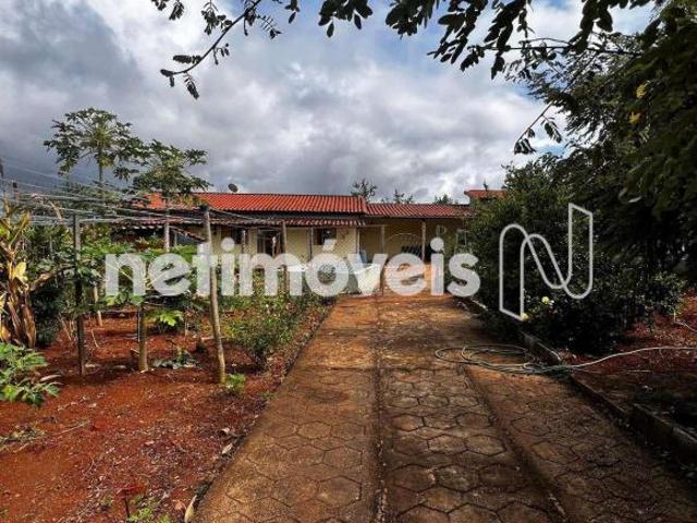 Venda Sítio Parque Buriti Caetanópolis