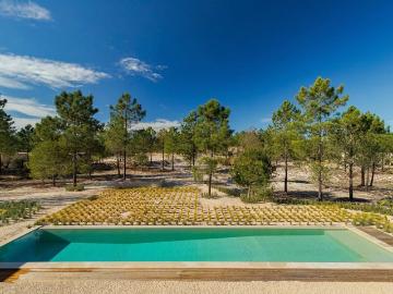Comporta, Alcácer do Sal, Distrito de Setúbal