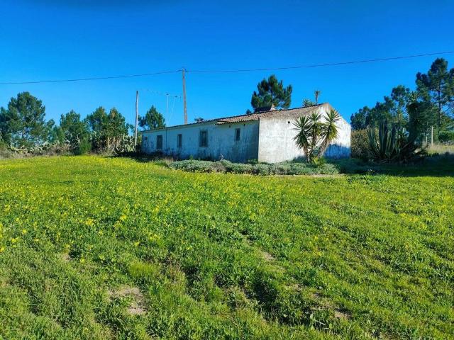 vendas Casa Exclusiva de 104 m2, Melides, Setúbal
