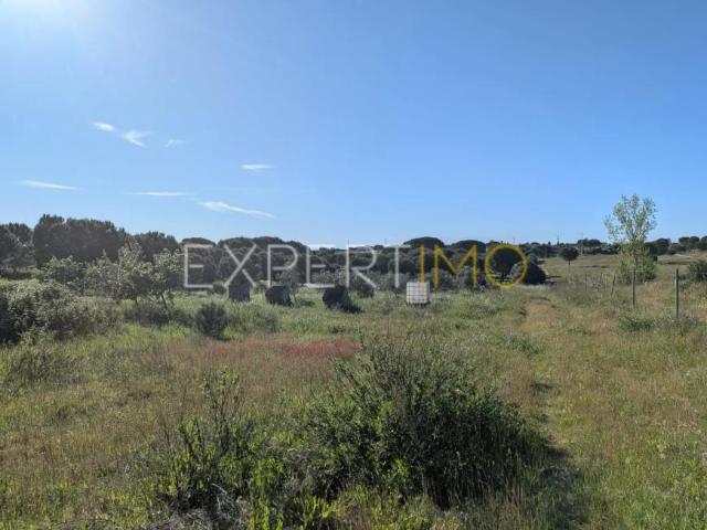 Vendas Novas Évora 103325521