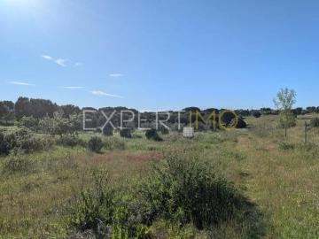 Vendas Novas Évora 103325521