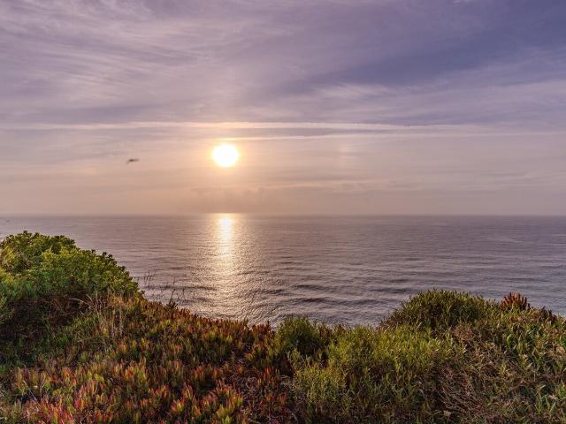Vende Terreno Ericeira 10 km, A Casa das Casas