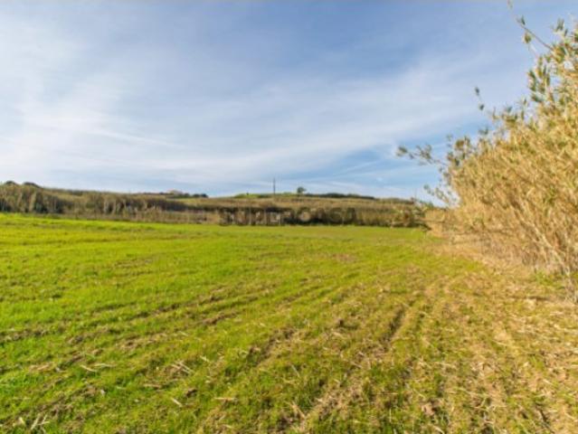 Vende Terreno Ericeira 13 km, A Casa das Casas