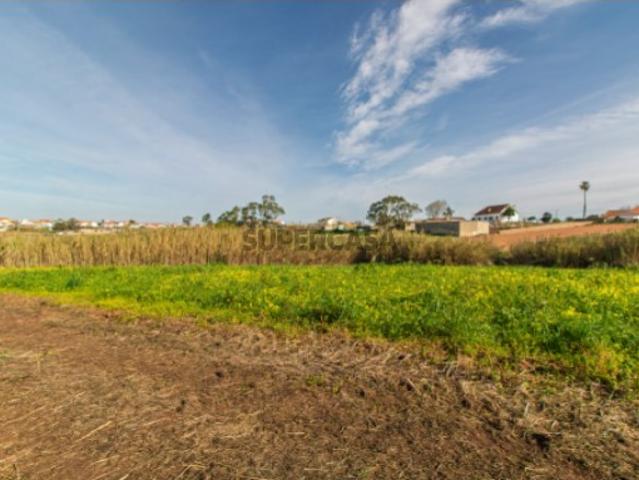 Vende Terreno Ericeira 13 km, A Casa das Casas