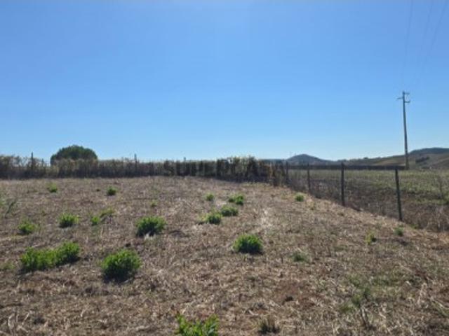 Vende Terreno Ericeira 20 Km, A Casa das Casas