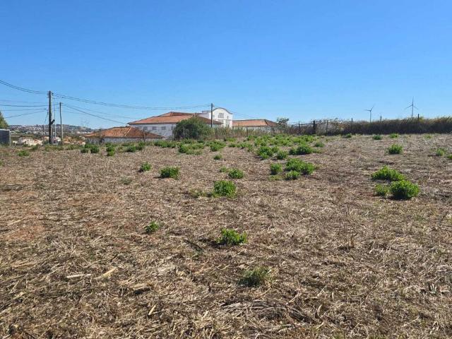 Vende Terreno Ericeira 20 Km, A Casa das Casas