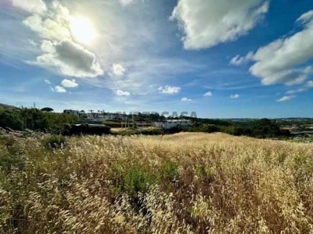 Vende Terreno Ericeira 4,2 km, A Casa das Casas