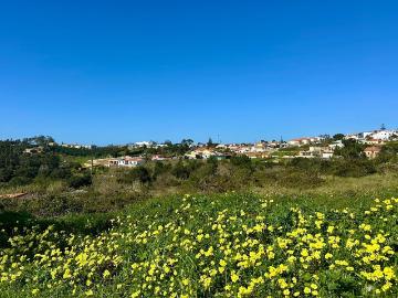 Vende Terreno Ericeira 4 km, A Casa das Casas