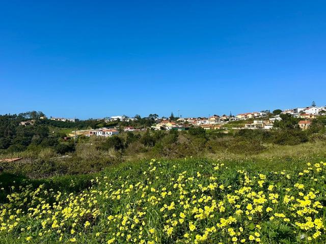 Vende Terreno Ericeira 4 km, A Casa das Casas
