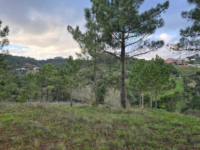 Vende Terreno Ericeira 6 km, A Casa das Casas