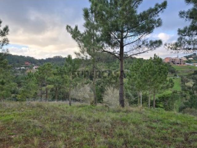 Vende Terreno Ericeira 6 km, A Casa das Casas