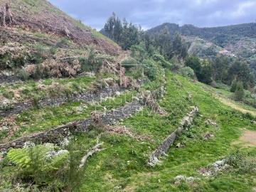 VENDE TERRENO, SANTO DA SERRA, MACHICO