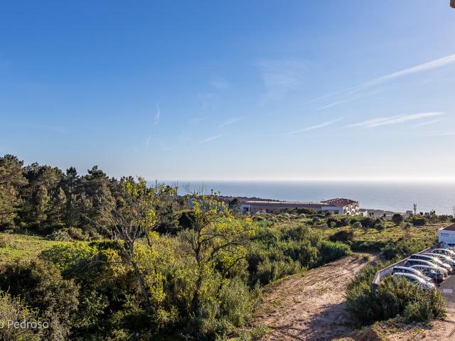 Vende Apartamento T1 Ericeira, A Casa das Casas