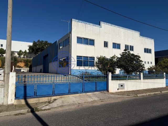 Vende Armazém Industrial Constância 926m² Montalvo