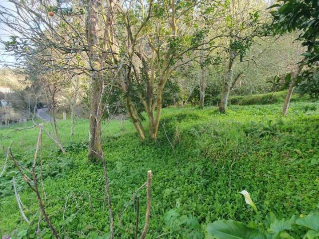 VENDE CASA A REHABILITAR A 3KM DE PORTOSIN Y DOS DE LA PLAYA MAS CERCANA