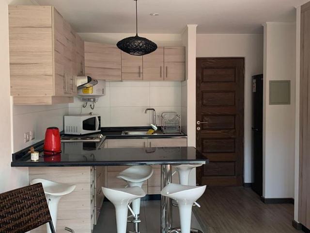 Vende departamento amoblado de 2d 1b pucón andino
