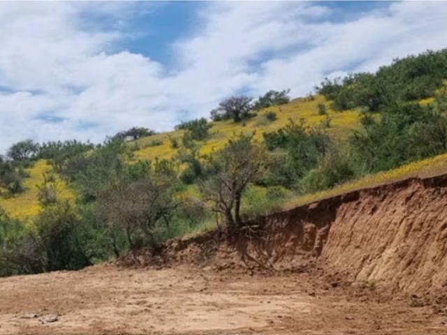 Vende parcelas de 5.000 mt2, con rol propio, en Melipilla, Proyecto Alta Vista, sector Maitenes Mandinga | 0 dormitorios por 45000. 00 en Melipilla