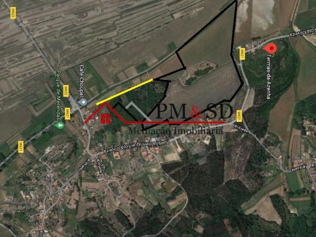 Vende se 140 000 m2 próximo de Figueira da Foz