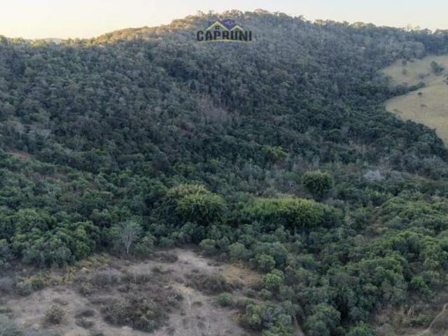 Vende se 25 Hectares de Reserva com Nascente em Passa Tempo/MG
