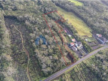 VENDE SE TERRENO NA CANDELÁRIA, MADALENA DO PICO