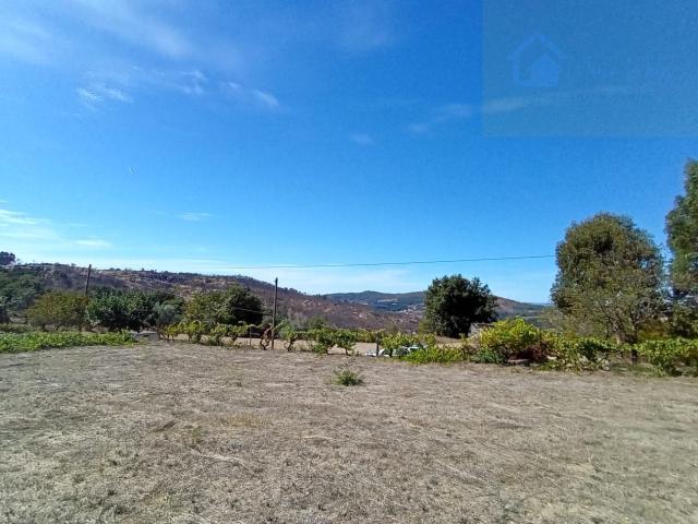Vende se Terreno a 15 minutos de Mangualde