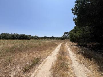 Vende se terreno agrícola na Azóia, Sesimbra, com 15.600,00 m2, a 5 minutos da praia da Foz, plano, junto a via pública, com capacidade de construção de 78 m2 + cave para garagem e arrunos