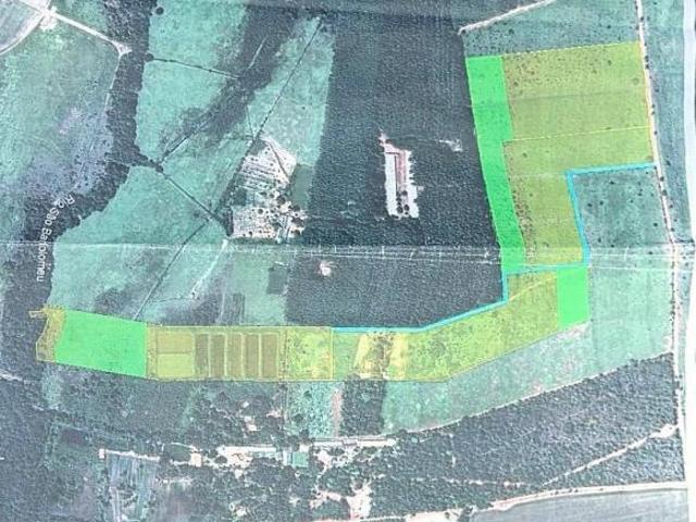 VENDE SE TERRENO DE 20.000M²