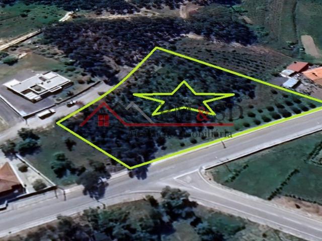 Vende se terreno em Bajouca Leiria 3213 m2