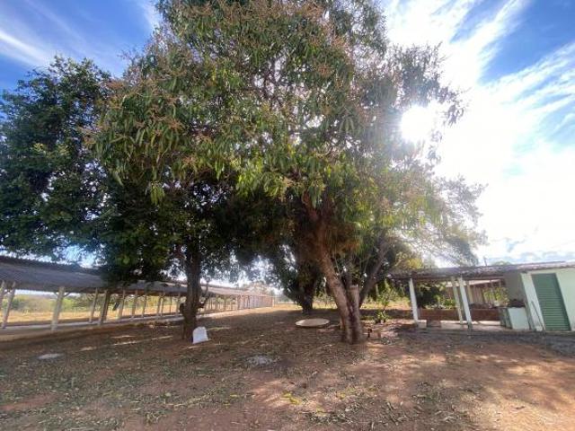 Vende se terreno granja 60000 m2 Moema Mg 3 km da cidade