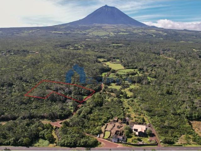 VENDE SE TERRENO RÚSTICO COM VISTA PANORÂMICA EM SANTO ANTÓNIO, SÃO ROQUE DO PICO