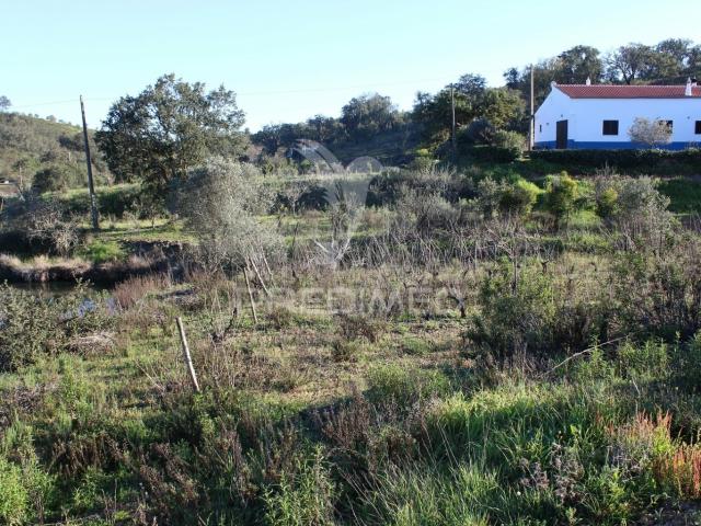 Vende se Terreno Rústico em São Bartolomeu de Messines