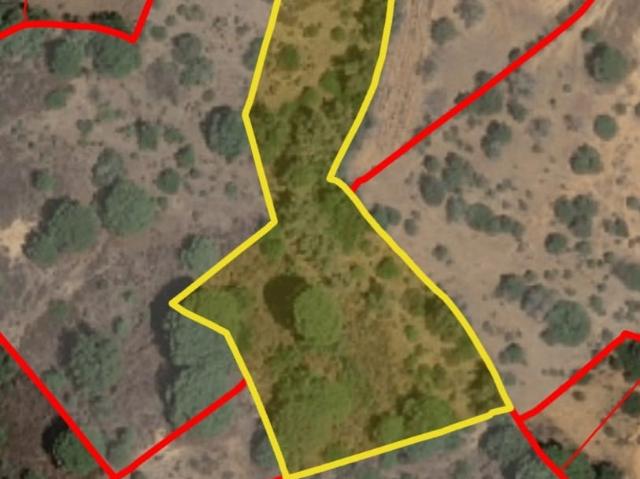 vende se terreno rustico em Porches com 3690m2 sem acesso