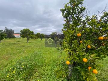 VENDE SE TERRENO RÚSTICO PLANO EM ODIÁXERE ALGARVE