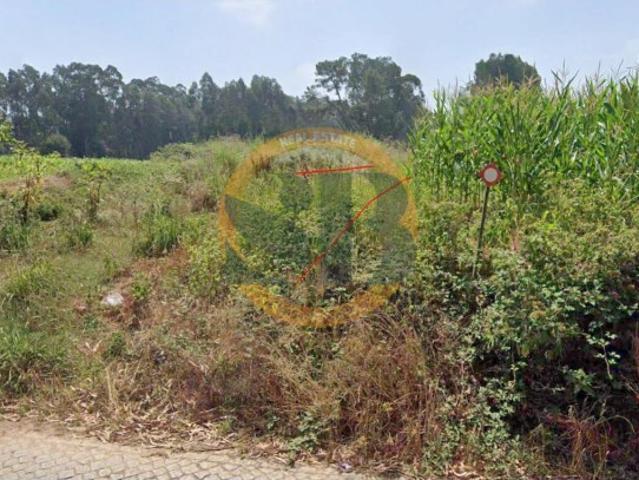 Vende se Terreno São João Ovar