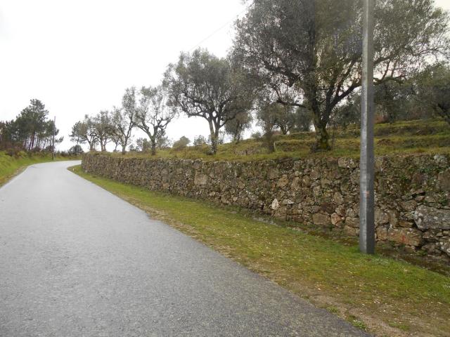 Vende se Terreno Urbano 5500m2