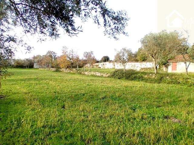 Vende se terreno com casa para reconstruir