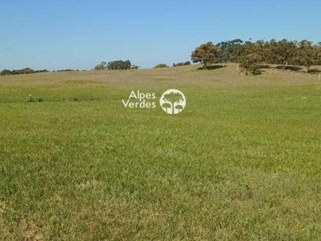 VENDE SE TERRENOS URBANOS NA CIDADE DE OSÓRIO, ÓTIMA OPORTUNIDADE PRÓXMA A LAGOA DA PINGUELA