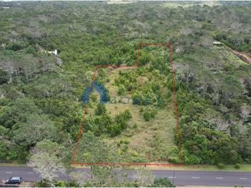 VENDE SE TERRENOS NA CANDELÁRIA, MADALENA DO PICO