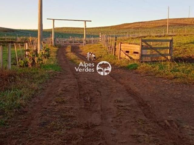 Vende se Área com 3,4 hectares em Azulega a 13km de Cambara do Sul