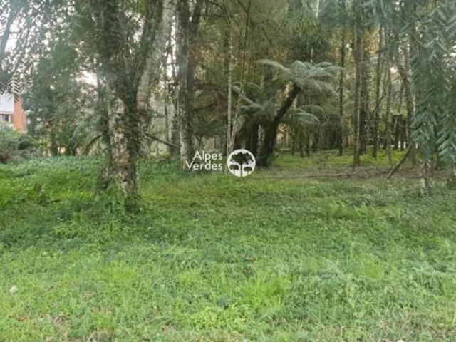 Vende se Área com 3.995 m² a cerca de 2 minutos da Rua Coberta