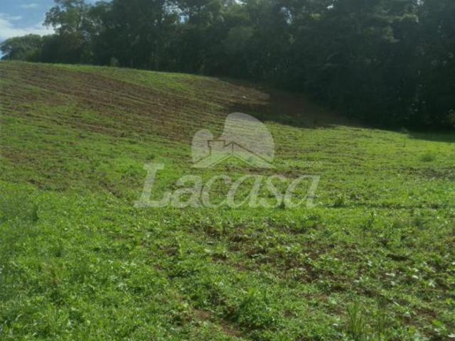 VENDE SE CHACÁRA A 2KM DA CIDADE DOS LAGOS