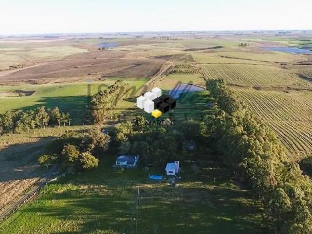 Vende se Fazenda àrea Rural em Dom Pedrito RS Lavoura Soja e Pecuária e Outros