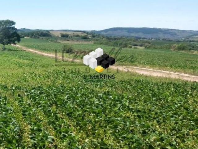 vende se Fazenda Área Rural em Encruzilhada do Sul RS Lavoura Pecuária