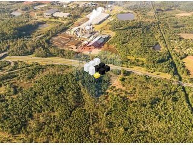 Vende se Fazenda, Área Rural em Montenegro 40 hectares RS