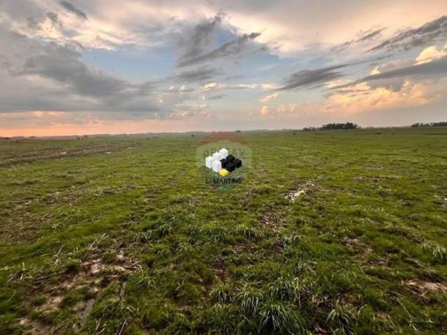 Vende se Fazenda Área Rural em São Gabriel Lavoura e Pecuária