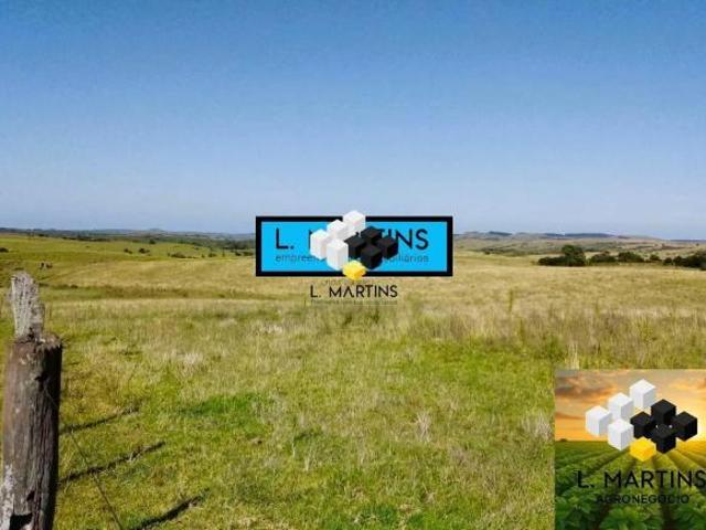 Vende se Fazenda Área Rural em Pedras Altas RS Soja Pecuária