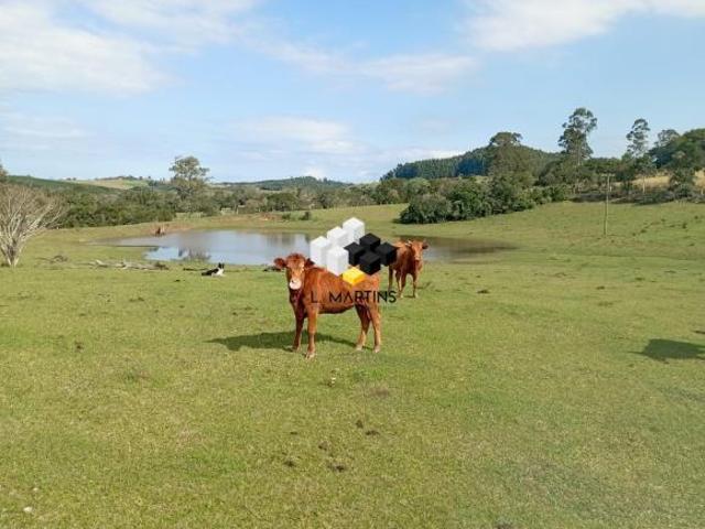 Vende se Fazenda Área Rural em Tapes RS Lavoura e Pecuária