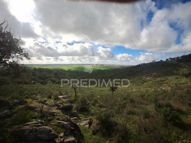 Vende se Herdade – 34 Hectares