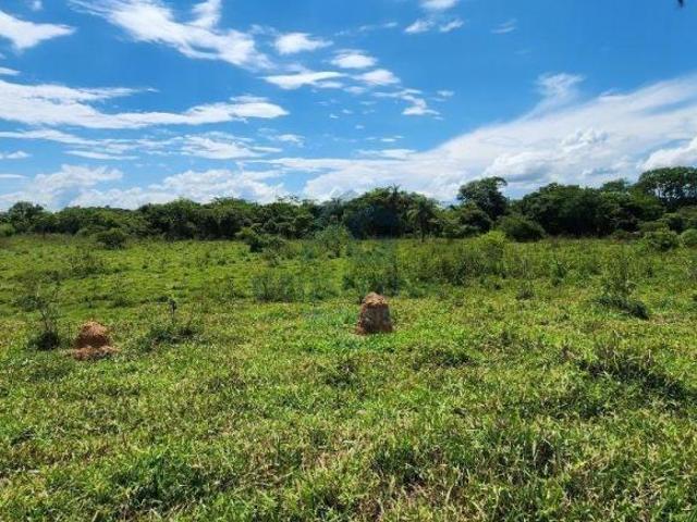 VENDE SE IMOVEL RURAL NA REGIAO VEADOS